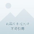 陛下，贱笑了